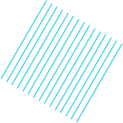 webbizconnection.com