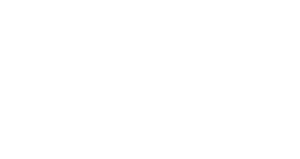 webbizconnection.com