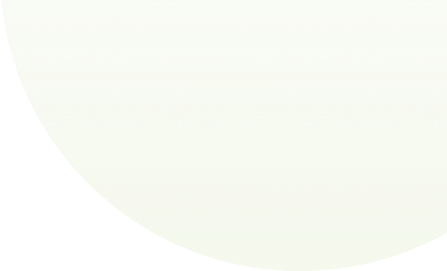 webbizconnection.com