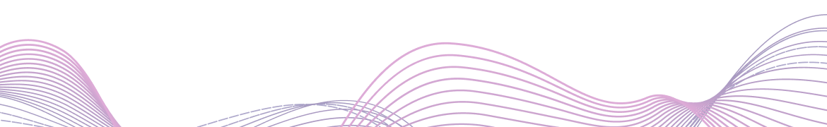 webbizconnection.com