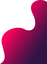 webbizconnection.com