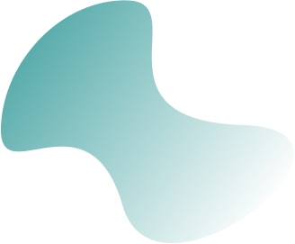 webbizconnection.com