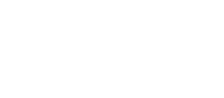 webbizconnection.com